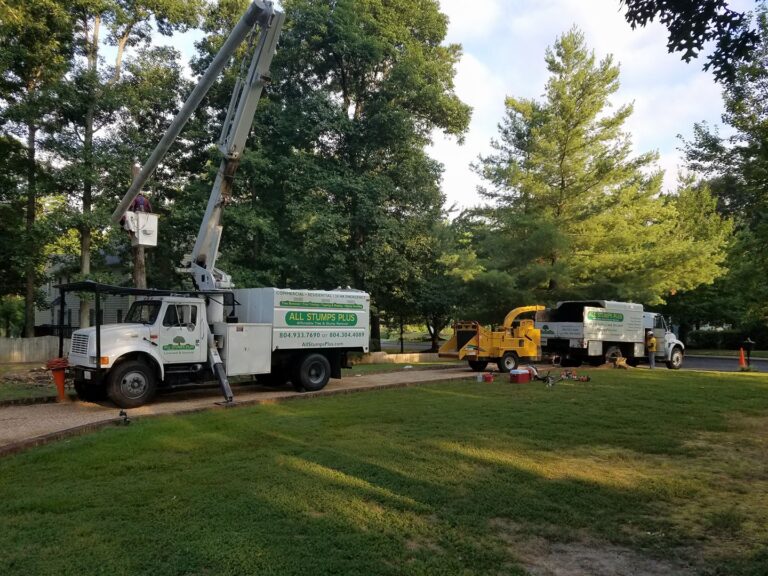 Two Trucks Parked In A Tree-filled Park