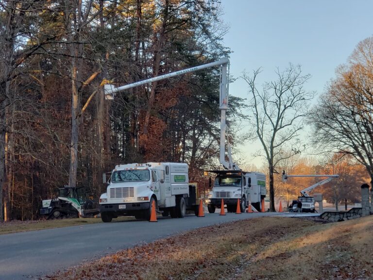 Tree Removal Trucks Parked In Line