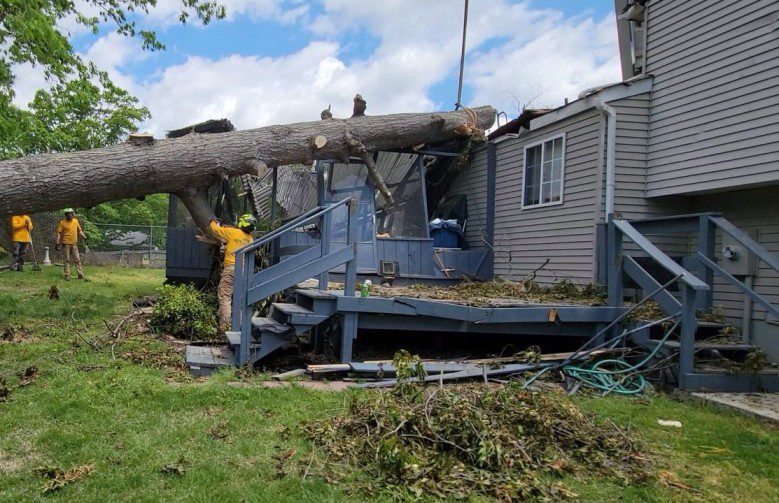 House Destroyed By Large Tree